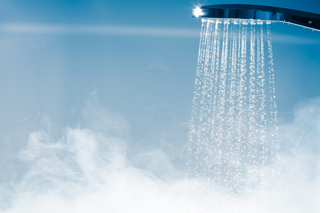 shower repair clearwater